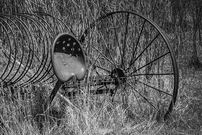 rusted antique hay rake with large spoke weels and a metal seat