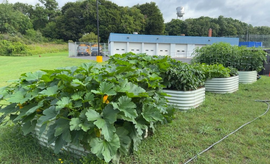 container gardens overflowing