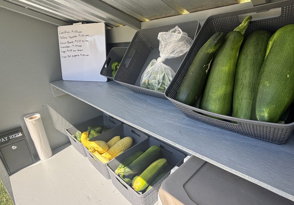 fresh produce in bins with signage for pricing