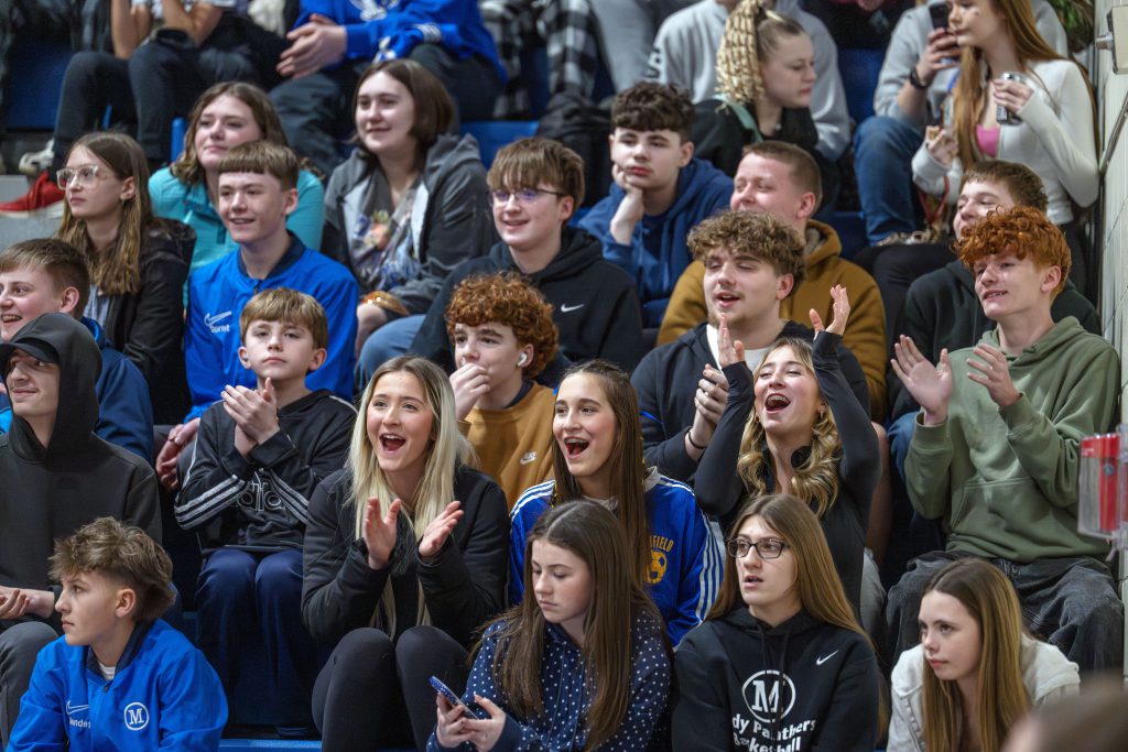Students cheer from the stands