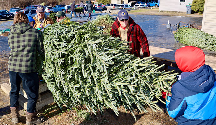 students and adults handing a Christmas tree