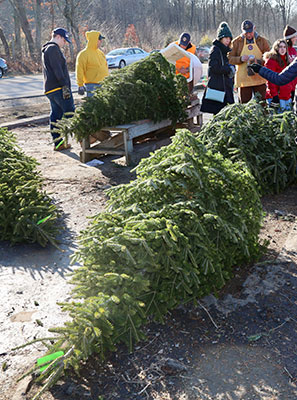 students working on trees as adults wait