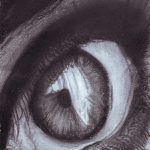 Black and white charcoal drawing of an eye in close up.