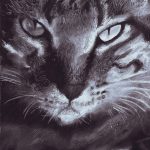 Black and white charcoal drawing of a cat.