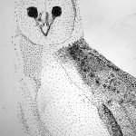 Black and white drawing of an owl.