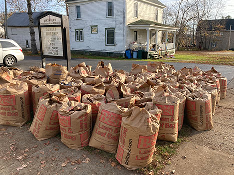 nearly 50 bags full of leaves 