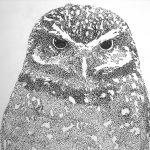 Black and white drawing of an owl.