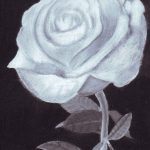 Black and white charcoal drawing of a rose.