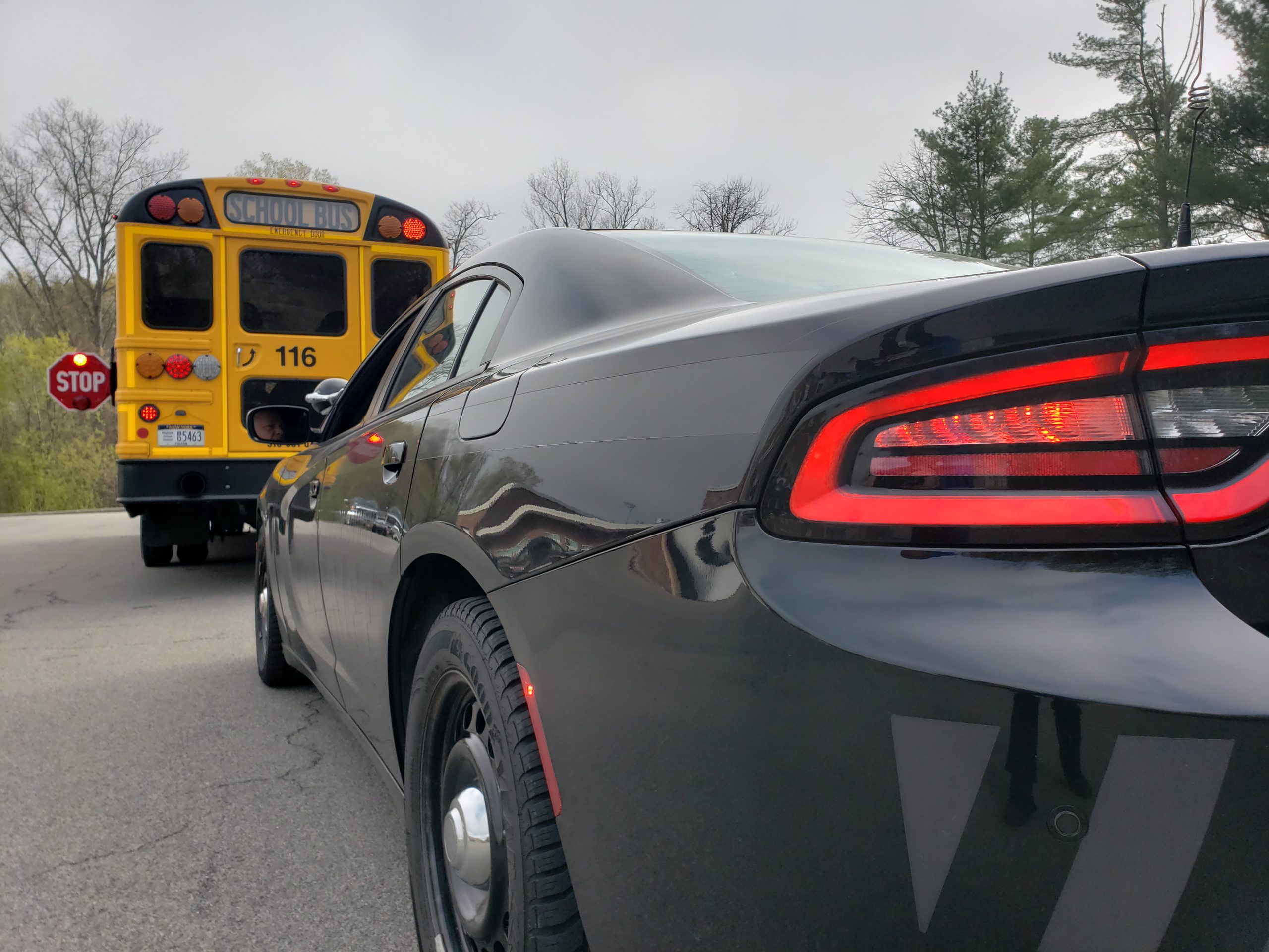 view from behind a patrol car looking foward at the back of a school bus with stop sign out