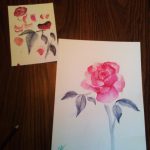 Student watercolor paintings of roses.