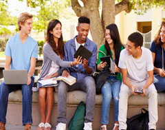 Students sitting under a tree