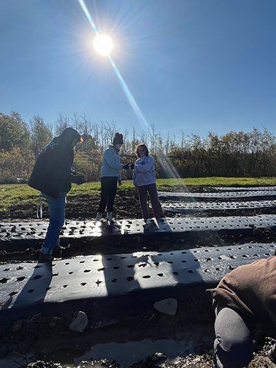 students planting garlic