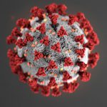 coronavirus image from cdc