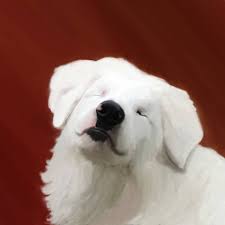 Keller, John Gray's dog